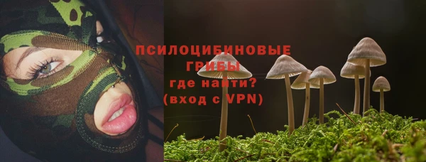 эйфоретик Аркадак