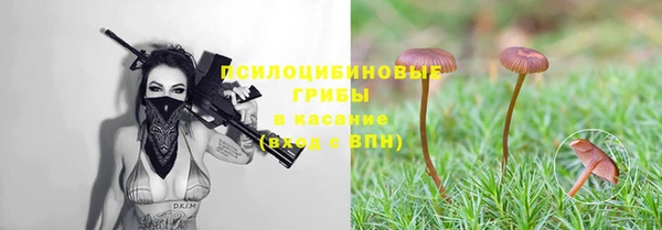 гидра Абдулино