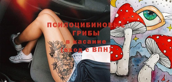 эйфоретик Аркадак