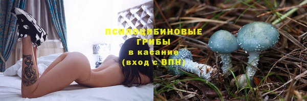 эйфоретик Аркадак