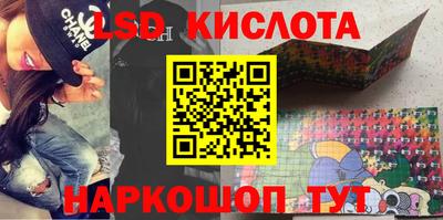 эйфоретик Берёзовский