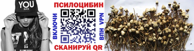 Галлюциногенные грибы Cubensis  mega сайт  Воткинск 