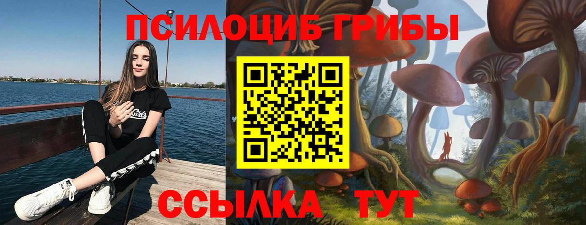 Воткинск  Галлюциногенные грибы Psilocybine cubensis  Вход с VPN 
